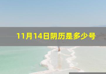 11月14日阴历是多少号