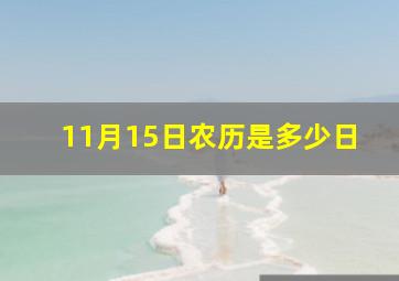 11月15日农历是多少日