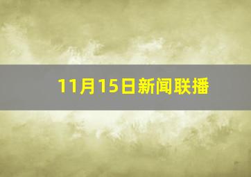 11月15日新闻联播