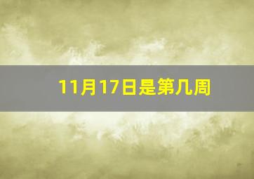 11月17日是第几周