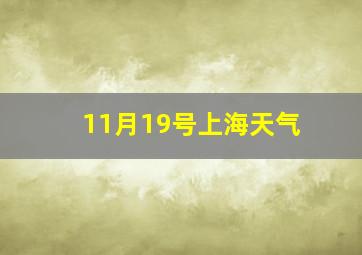 11月19号上海天气