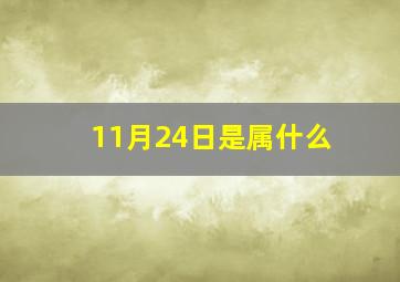 11月24日是属什么