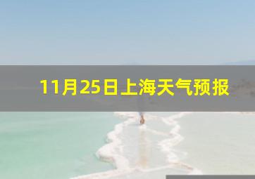 11月25日上海天气预报