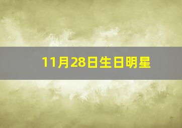 11月28日生日明星