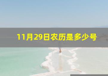 11月29日农历是多少号