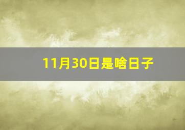 11月30日是啥日子