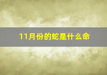 11月份的蛇是什么命