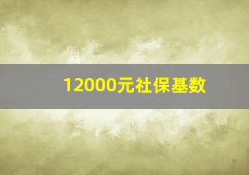 12000元社保基数