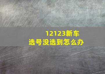 12123新车选号没选到怎么办