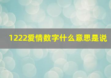 1222爱情数字什么意思是说