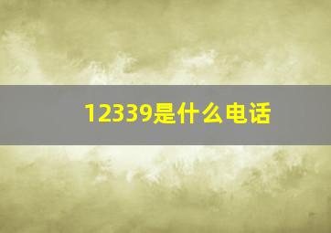 12339是什么电话