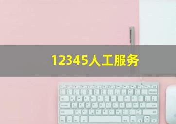 12345人工服务