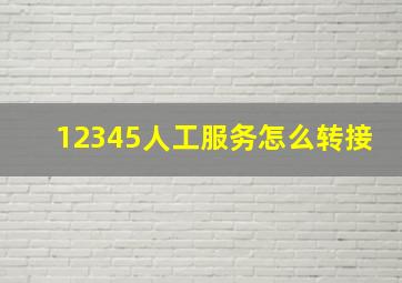 12345人工服务怎么转接