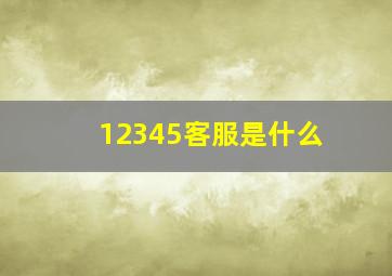 12345客服是什么