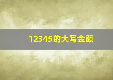 12345的大写金额