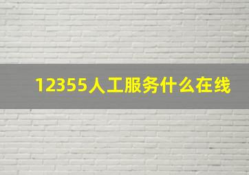 12355人工服务什么在线