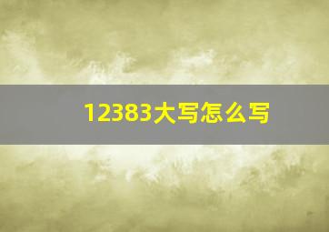 12383大写怎么写