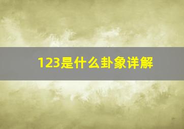 123是什么卦象详解