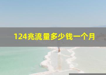 124兆流量多少钱一个月