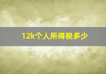 12k个人所得税多少