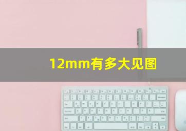 12mm有多大见图