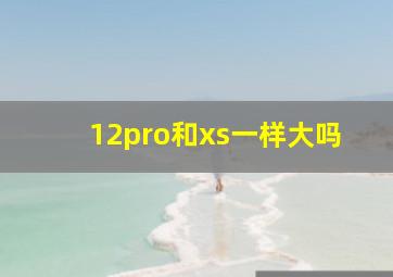 12pro和xs一样大吗