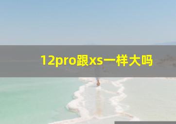 12pro跟xs一样大吗