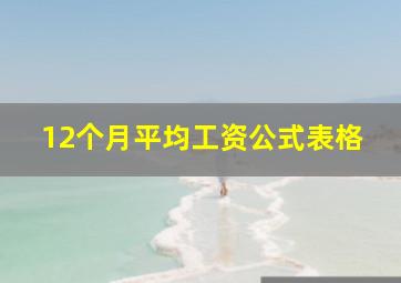 12个月平均工资公式表格