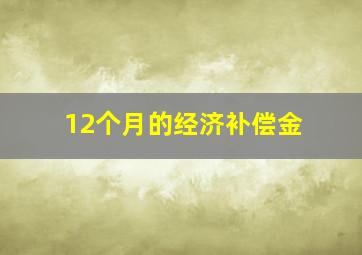 12个月的经济补偿金