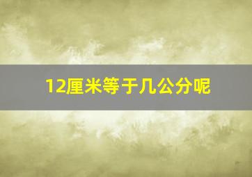 12厘米等于几公分呢