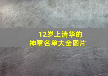 12岁上清华的神童名单大全图片