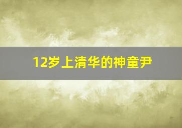 12岁上清华的神童尹