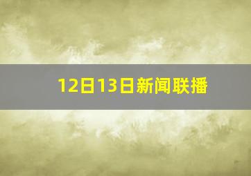 12日13日新闻联播