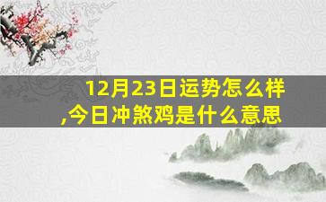 12月23日运势怎么样,今日冲煞鸡是什么意思