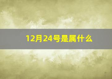 12月24号是属什么