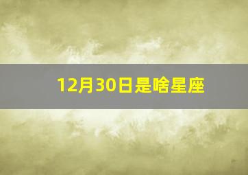 12月30日是啥星座