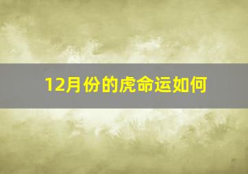 12月份的虎命运如何