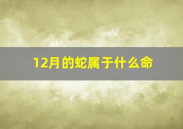 12月的蛇属于什么命