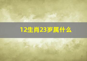 12生肖23岁属什么