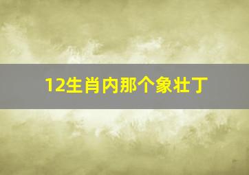 12生肖内那个象壮丁