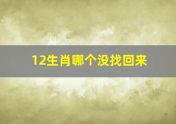 12生肖哪个没找回来