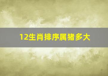 12生肖排序属猪多大