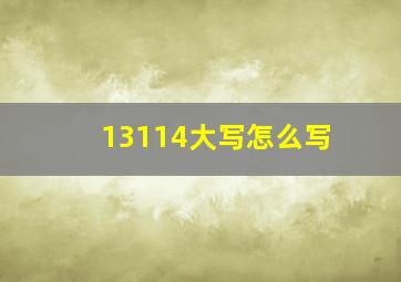 13114大写怎么写