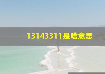 13143311是啥意思