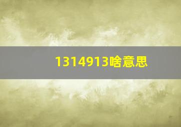 1314913啥意思