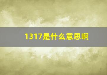 1317是什么意思啊