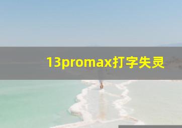 13promax打字失灵