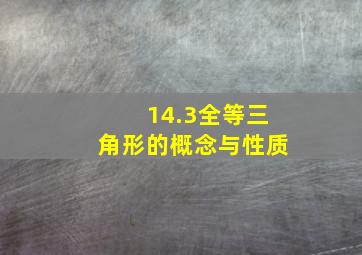 14.3全等三角形的概念与性质