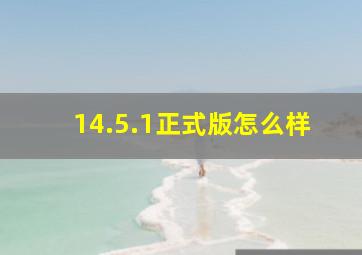 14.5.1正式版怎么样