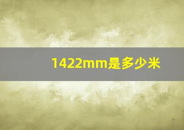 1422mm是多少米